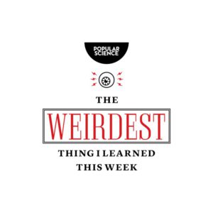 The Weirdest Thing I Learned This Week logo